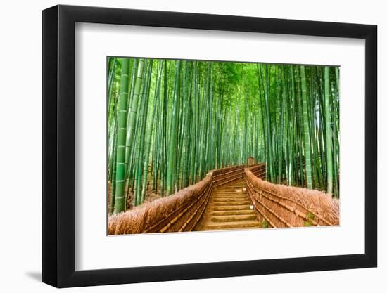 Kyoto, Japan at the Bamboo Forest.-SeanPavonePhoto-Framed Photographic Print