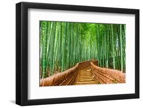 Kyoto, Japan at the Bamboo Forest.-SeanPavonePhoto-Framed Photographic Print