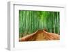 Kyoto, Japan at the Bamboo Forest.-SeanPavonePhoto-Framed Photographic Print