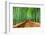 Kyoto, Japan at the Bamboo Forest.-SeanPavonePhoto-Framed Photographic Print