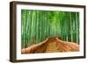 Kyoto, Japan at the Bamboo Forest.-SeanPavonePhoto-Framed Photographic Print