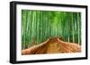 Kyoto, Japan at the Bamboo Forest.-SeanPavonePhoto-Framed Photographic Print