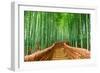 Kyoto, Japan at the Bamboo Forest.-SeanPavonePhoto-Framed Photographic Print