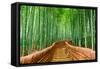 Kyoto, Japan at the Bamboo Forest.-SeanPavonePhoto-Framed Stretched Canvas