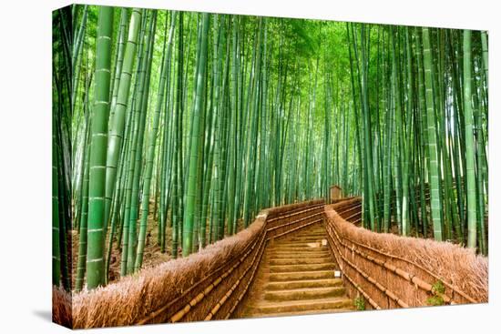 Kyoto, Japan at the Bamboo Forest.-SeanPavonePhoto-Stretched Canvas