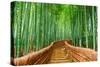 Kyoto, Japan at the Bamboo Forest.-SeanPavonePhoto-Stretched Canvas