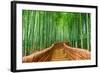 Kyoto, Japan at the Bamboo Forest.-SeanPavonePhoto-Framed Photographic Print