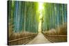 Kyoto, Japan Bamboo Forest.-SeanPavonePhoto-Stretched Canvas