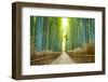 Kyoto, Japan Bamboo Forest.-SeanPavonePhoto-Framed Photographic Print