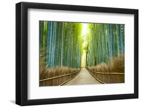 Kyoto, Japan Bamboo Forest.-SeanPavonePhoto-Framed Photographic Print