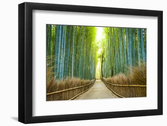 Kyoto, Japan Bamboo Forest.-SeanPavonePhoto-Framed Photographic Print
