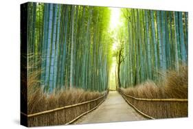 Kyoto, Japan Bamboo Forest.-SeanPavonePhoto-Stretched Canvas