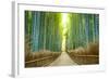 Kyoto, Japan Bamboo Forest.-SeanPavonePhoto-Framed Photographic Print