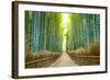 Kyoto, Japan Bamboo Forest.-SeanPavonePhoto-Framed Photographic Print