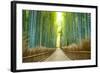 Kyoto, Japan Bamboo Forest.-SeanPavonePhoto-Framed Photographic Print