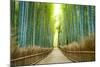 Kyoto, Japan Bamboo Forest.-SeanPavonePhoto-Mounted Photographic Print