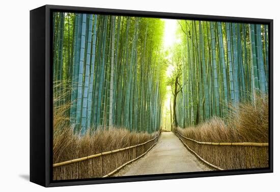Kyoto, Japan Bamboo Forest.-SeanPavonePhoto-Framed Stretched Canvas