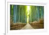 Kyoto, Japan Bamboo Forest.-SeanPavonePhoto-Framed Photographic Print