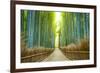 Kyoto, Japan Bamboo Forest.-SeanPavonePhoto-Framed Photographic Print