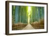 Kyoto, Japan Bamboo Forest.-SeanPavonePhoto-Framed Photographic Print