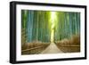 Kyoto, Japan Bamboo Forest.-SeanPavonePhoto-Framed Photographic Print