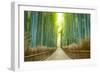 Kyoto, Japan Bamboo Forest.-SeanPavonePhoto-Framed Photographic Print