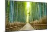 Kyoto, Japan Bamboo Forest.-SeanPavonePhoto-Mounted Photographic Print