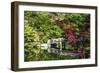 Kyoto, Japan. Eikando Temple, stone bridge over pond leading to temple-Miva Stock-Framed Photographic Print