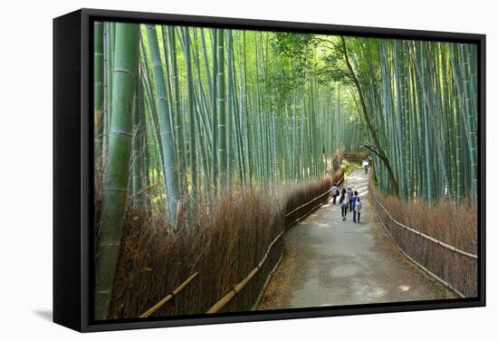 Kyoto, Japan - Green Bamboo Grove in Arashiyama-Tupungato-Framed Stretched Canvas