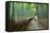 Kyoto, Japan - Green Bamboo Grove in Arashiyama-Tupungato-Framed Stretched Canvas