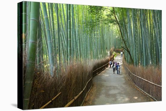 Kyoto, Japan - Green Bamboo Grove in Arashiyama-Tupungato-Stretched Canvas