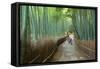 Kyoto, Japan - Green Bamboo Grove in Arashiyama-Tupungato-Framed Stretched Canvas