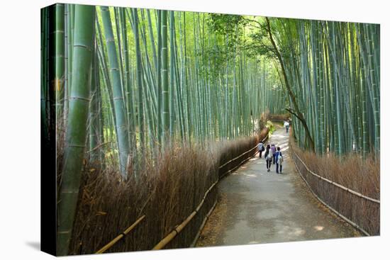 Kyoto, Japan - Green Bamboo Grove in Arashiyama-Tupungato-Stretched Canvas