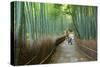 Kyoto, Japan - Green Bamboo Grove in Arashiyama-Tupungato-Stretched Canvas