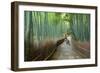 Kyoto, Japan - Green Bamboo Grove in Arashiyama-Tupungato-Framed Photographic Print