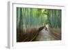 Kyoto, Japan - Green Bamboo Grove in Arashiyama-Tupungato-Framed Photographic Print