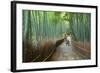 Kyoto, Japan - Green Bamboo Grove in Arashiyama-Tupungato-Framed Photographic Print