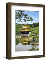 Kyoto, Japan. Kinkaku-Ji, Temple of the Golden Pavilion, also known as Rokuon-Ji-Miva Stock-Framed Photographic Print
