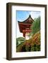 Kyoto, Japan. Main entrance gate to the Kiyomizu-dera temple, a UNESCO World Heritage Site-Miva Stock-Framed Photographic Print