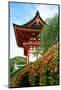 Kyoto, Japan. Main entrance gate to the Kiyomizu-dera temple, a UNESCO World Heritage Site-Miva Stock-Mounted Photographic Print