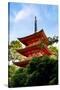 Kyoto, Japan. Taisan-ji Temple nearby Kiyomizu-dera Temple-Miva Stock-Stretched Canvas