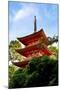 Kyoto, Japan. Taisan-ji Temple nearby Kiyomizu-dera Temple-Miva Stock-Mounted Photographic Print