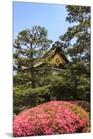 Kyoto, Japan. The Ninomaru Palace is gilded with gold at Nijo Castle-Miva Stock-Mounted Premium Photographic Print