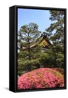 Kyoto, Japan. The Ninomaru Palace is gilded with gold at Nijo Castle-Miva Stock-Framed Stretched Canvas