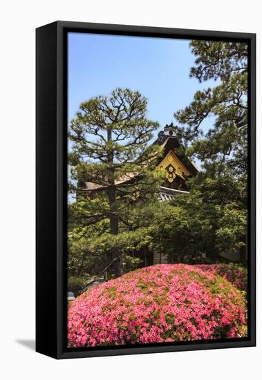 Kyoto, Japan. The Ninomaru Palace is gilded with gold at Nijo Castle-Miva Stock-Framed Stretched Canvas