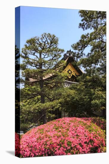 Kyoto, Japan. The Ninomaru Palace is gilded with gold at Nijo Castle-Miva Stock-Stretched Canvas