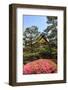 Kyoto, Japan. The Ninomaru Palace is gilded with gold at Nijo Castle-Miva Stock-Framed Photographic Print