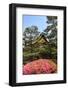 Kyoto, Japan. The Ninomaru Palace is gilded with gold at Nijo Castle-Miva Stock-Framed Photographic Print