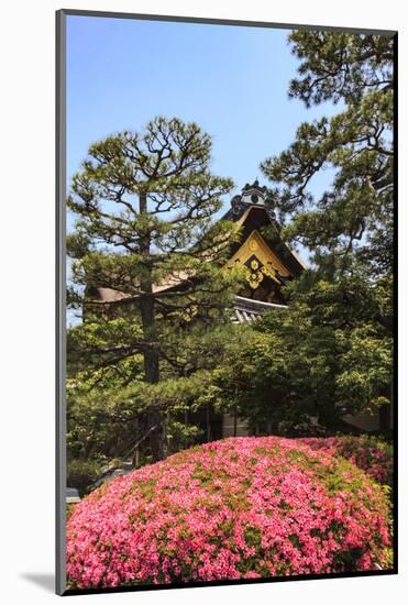 Kyoto, Japan. The Ninomaru Palace is gilded with gold at Nijo Castle-Miva Stock-Mounted Photographic Print