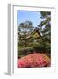 Kyoto, Japan. The Ninomaru Palace is gilded with gold at Nijo Castle-Miva Stock-Framed Photographic Print